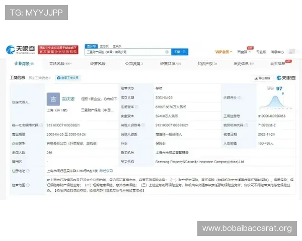 线上视讯注册后如何快速完善个人资料以提升账号安全性和使用体验